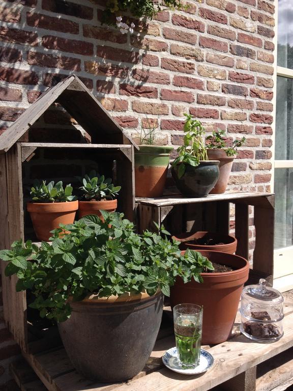 Hof Van Renesse Noordwelle Extérieur photo